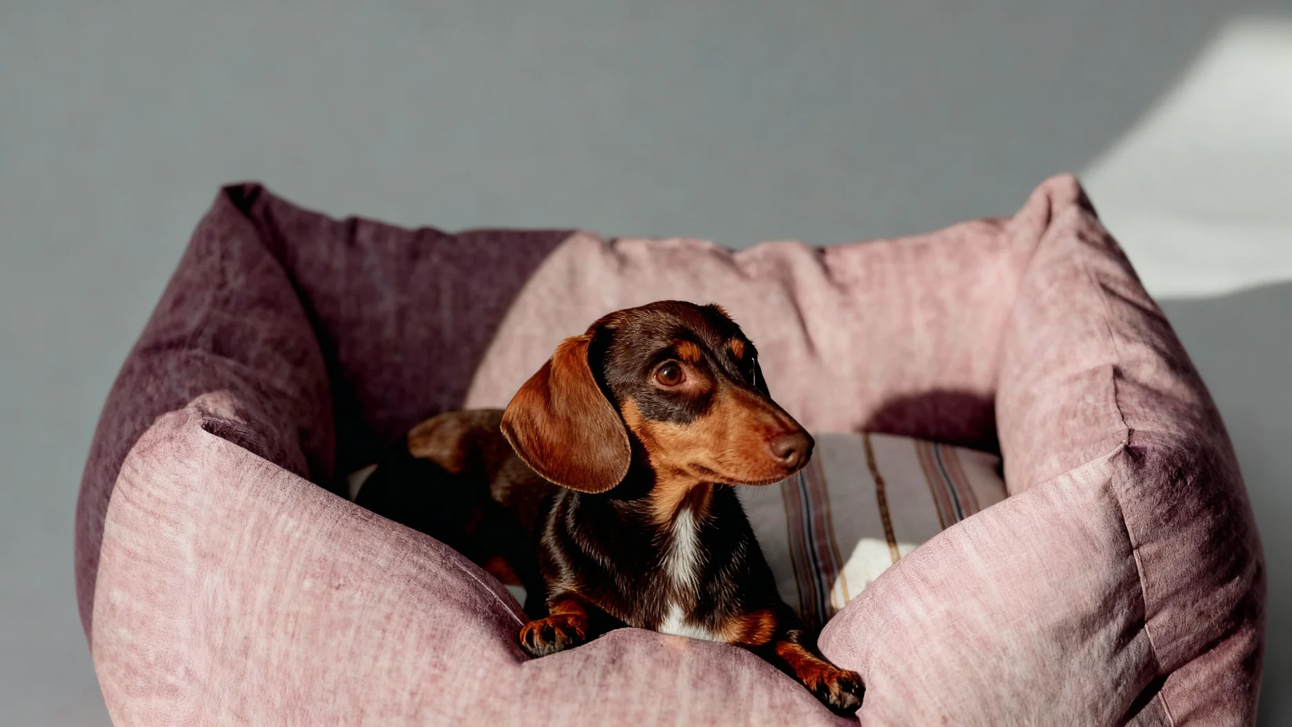 Услуги для маркетплейсов